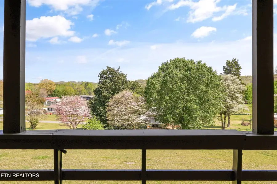 213 Tammy Drive, Rockwood, TN 37854 - #3