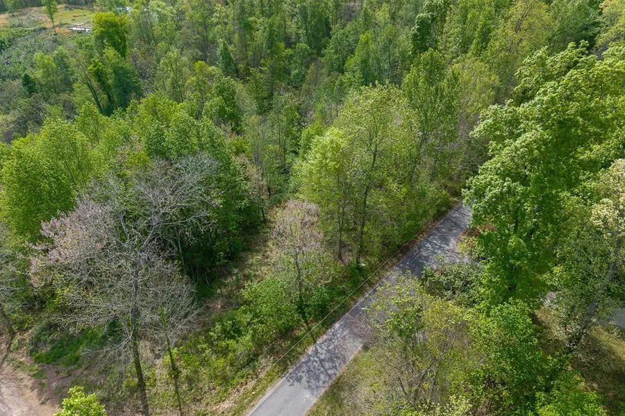 75 Backbone Rd, Sparta, TN 38583 - #3