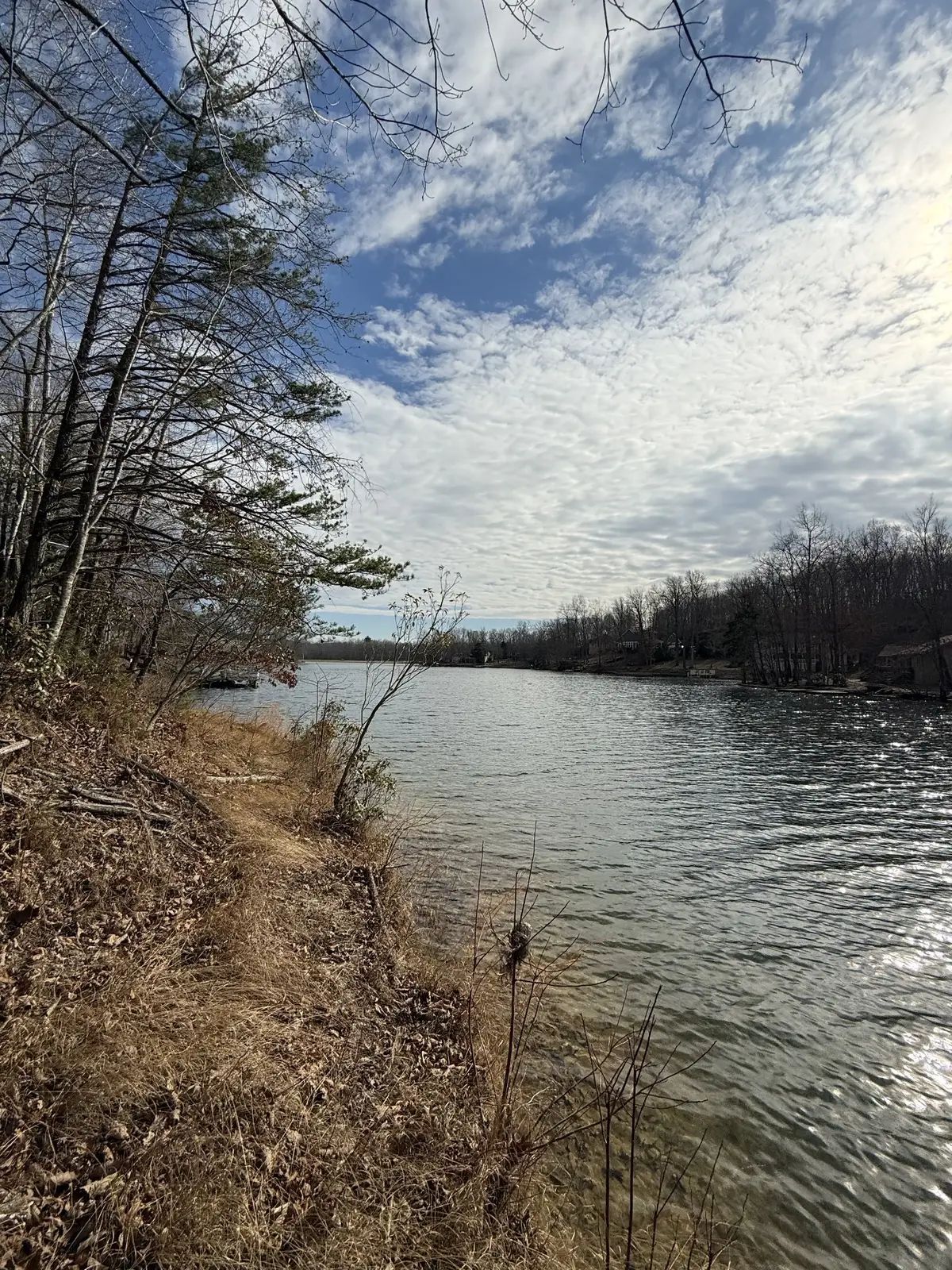 223 Dublin Ln, Crossville, TN 38558 - #1