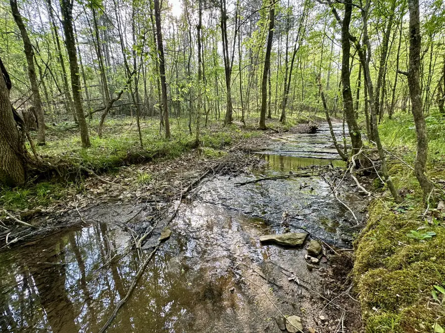 828 Mccord Hollow Rd, Hohenwald, TN 38462 - #2