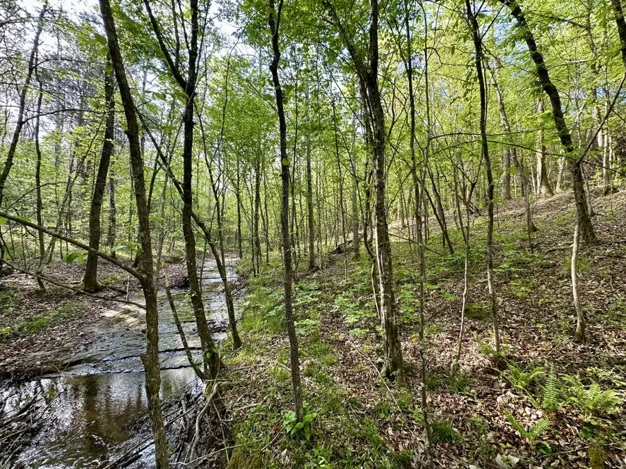 828 Mccord Hollow Rd, Hohenwald, TN 38462 - #3