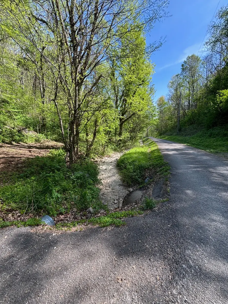 7792 Burns Rd, Christiana, TN 37037 - #3