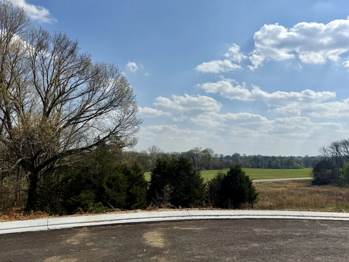 527 Divine Ct, Arrington, TN 37014 - #1