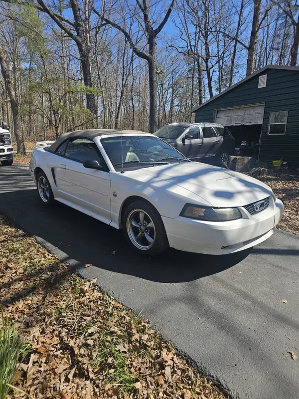 581 N 50th Ave, Gruetli Laager, TN 37339