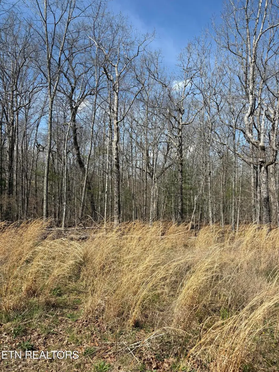 2017 Tres Circle, Crossville, TN 38572 - #2