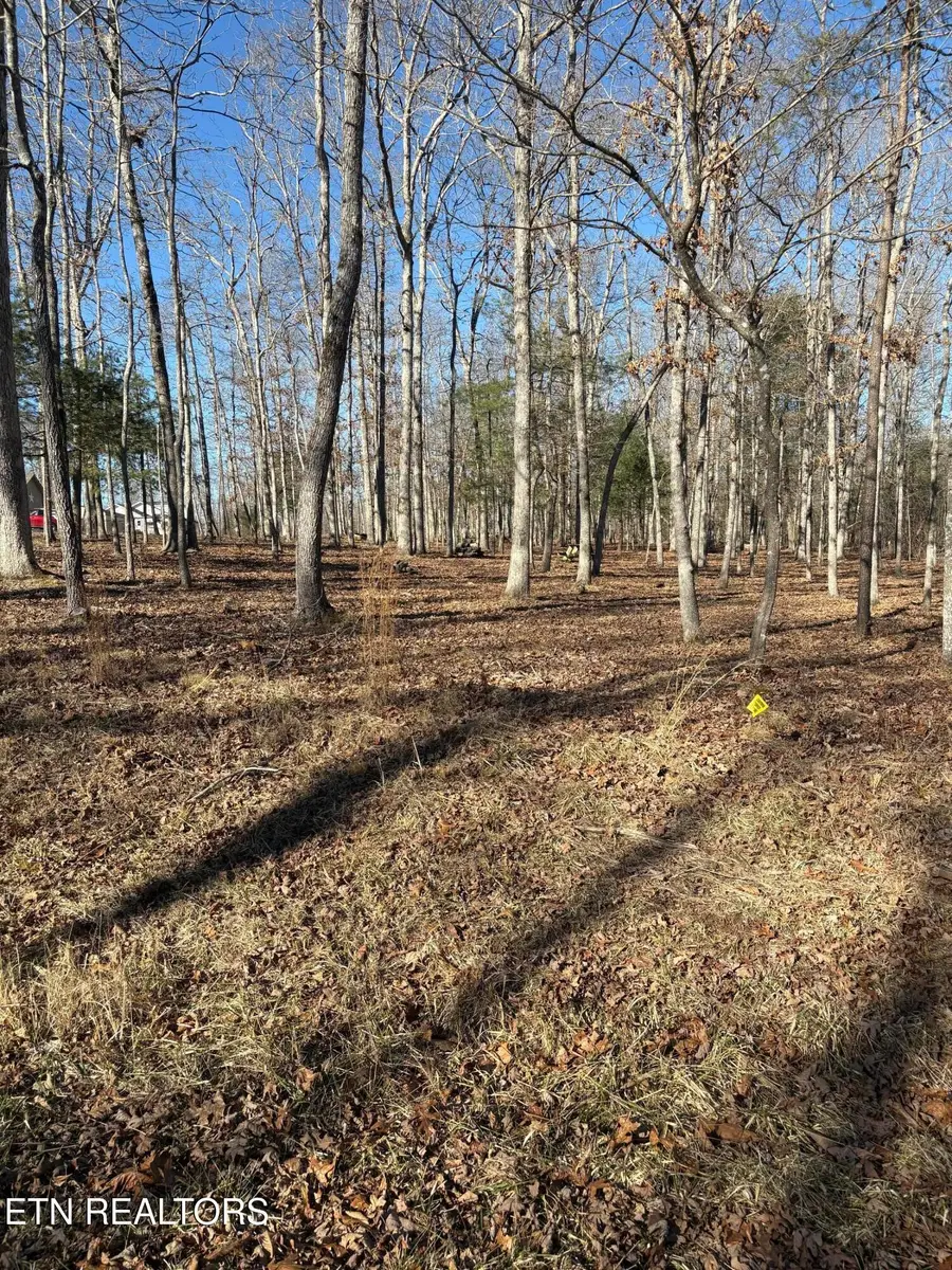 500 Brave Lane, Crossville, TN 38572 - #2