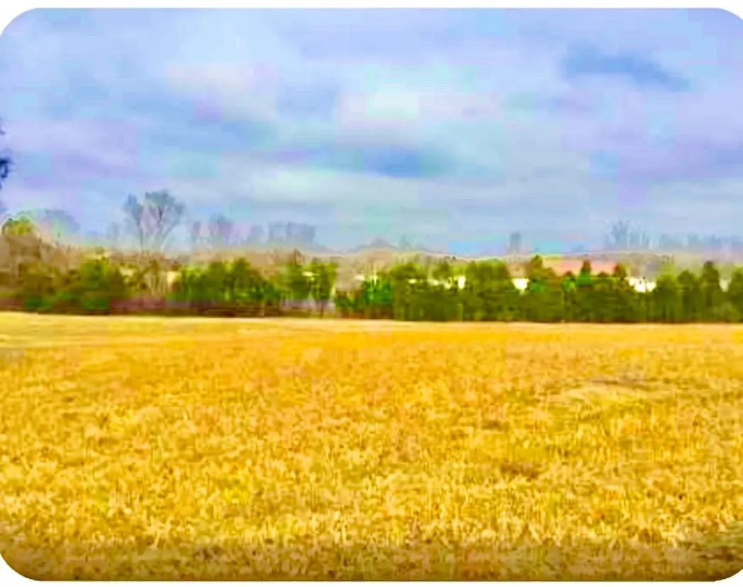 0 N Old Mt Juliet Rd, Mount Juliet, TN 37122 - #1