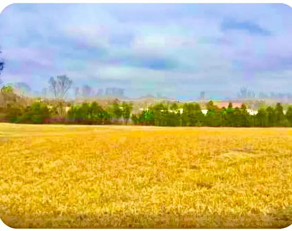 0 N Old Mt Juliet Rd, Mount Juliet, TN 37122