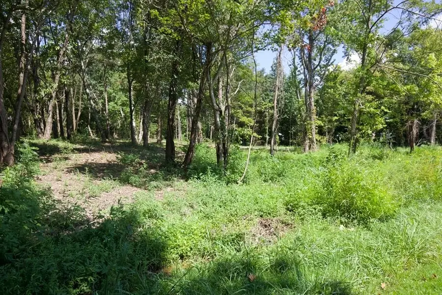 204 Vandy Cir, Sparta, TN 38583 - #2