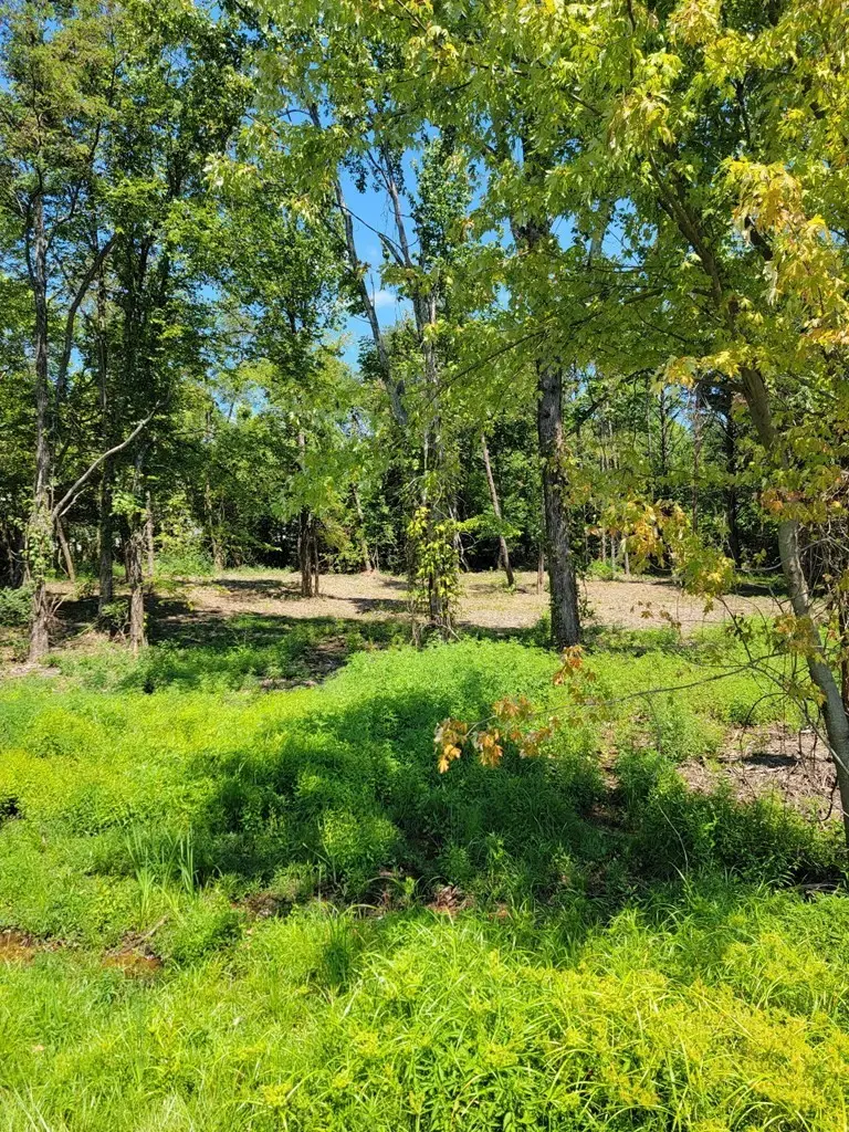 204 Vandy Cir, Sparta, TN 38583 - #3