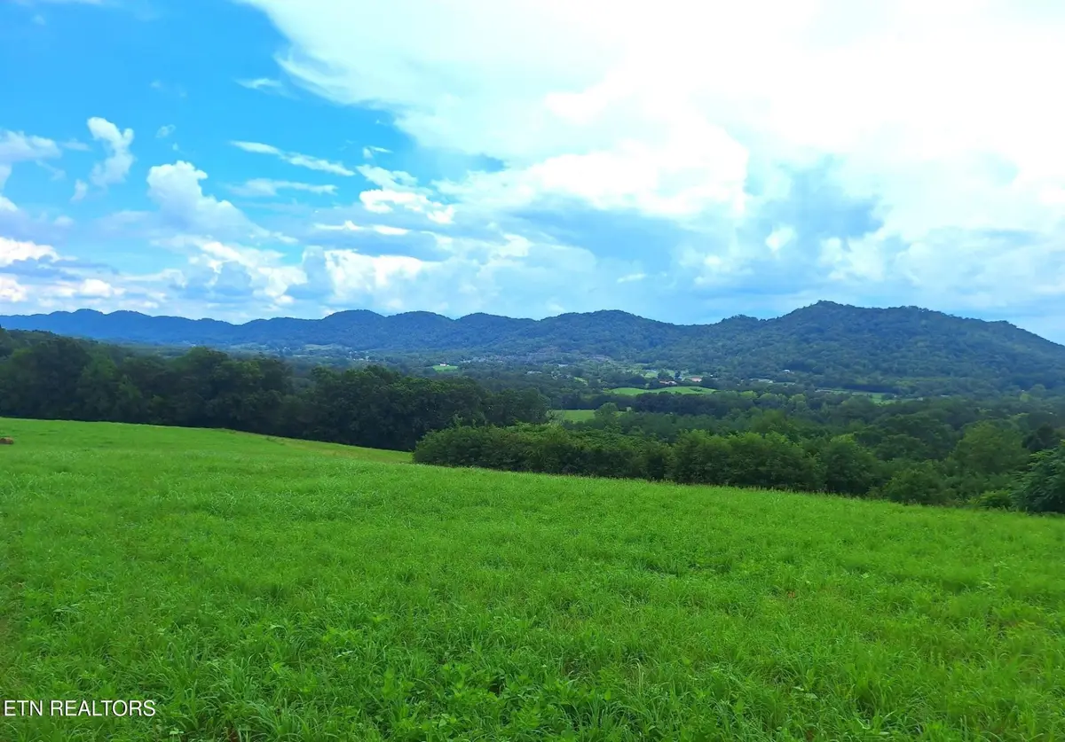 305 Race Track Rd, Rogersville, TN 37857 - #1