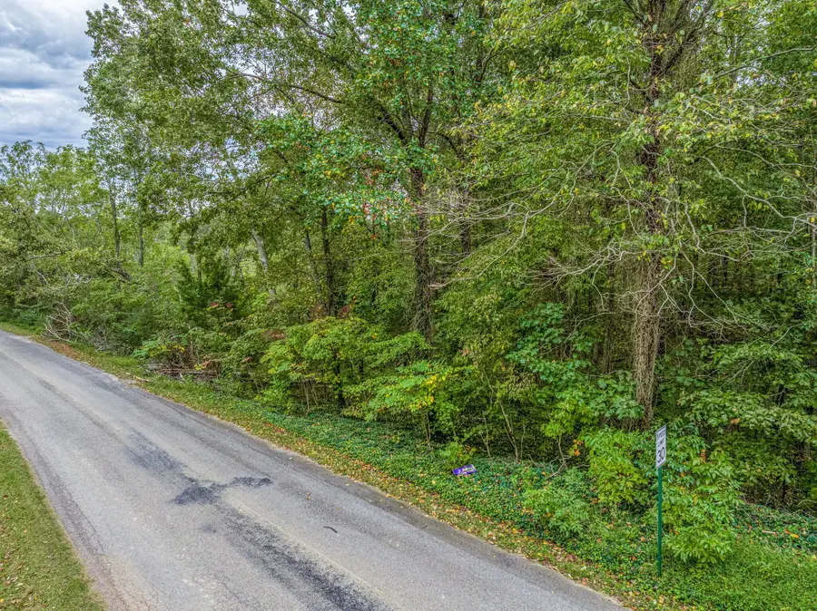 0 Moss Branch Rd, Bon Aqua, TN 37025 - #3