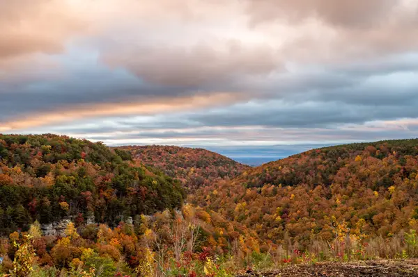 2364 Three Gorges Road, Soddy Daisy, TN 37379