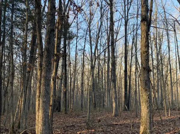 1 Summertown Hwy, Summertown, TN 38483