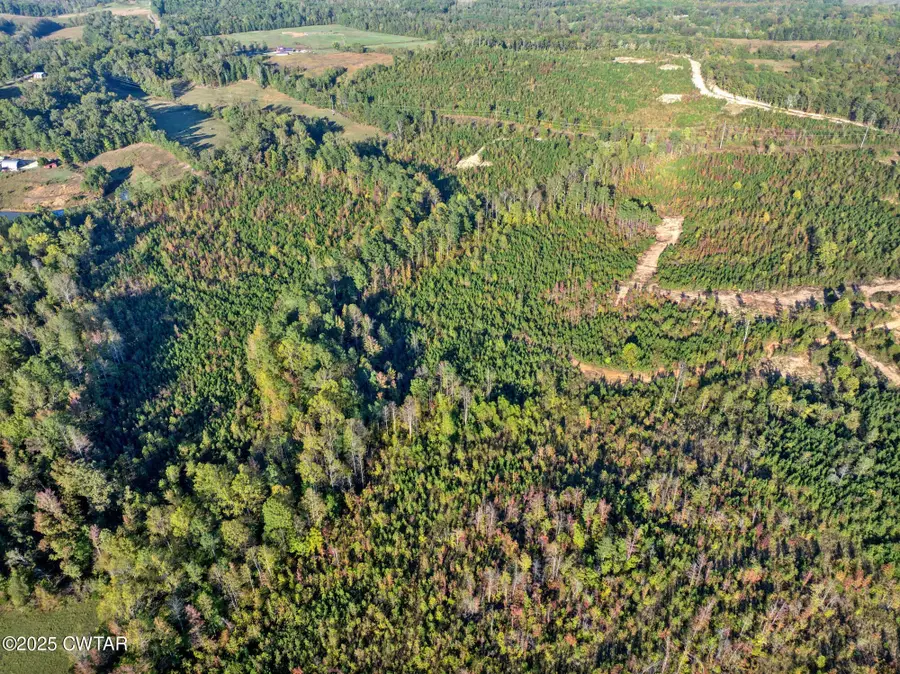 6 Tucker Rd, Bath Springs, TN 38311 - #2