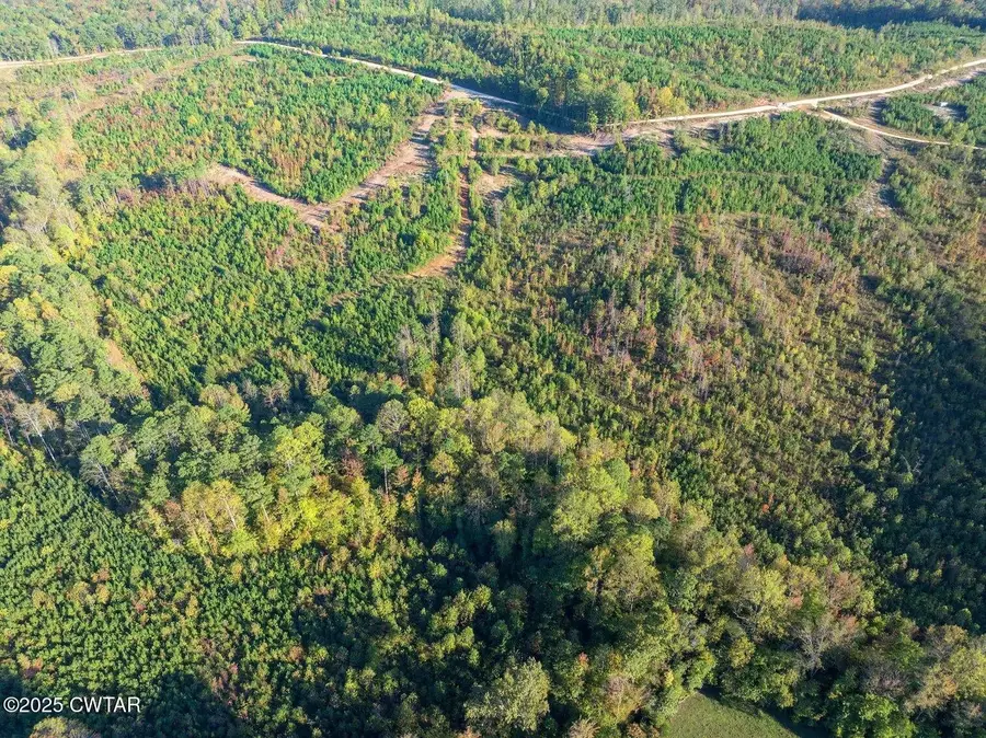 5 Tucker Rd, Bath Springs, TN 38311 - #3