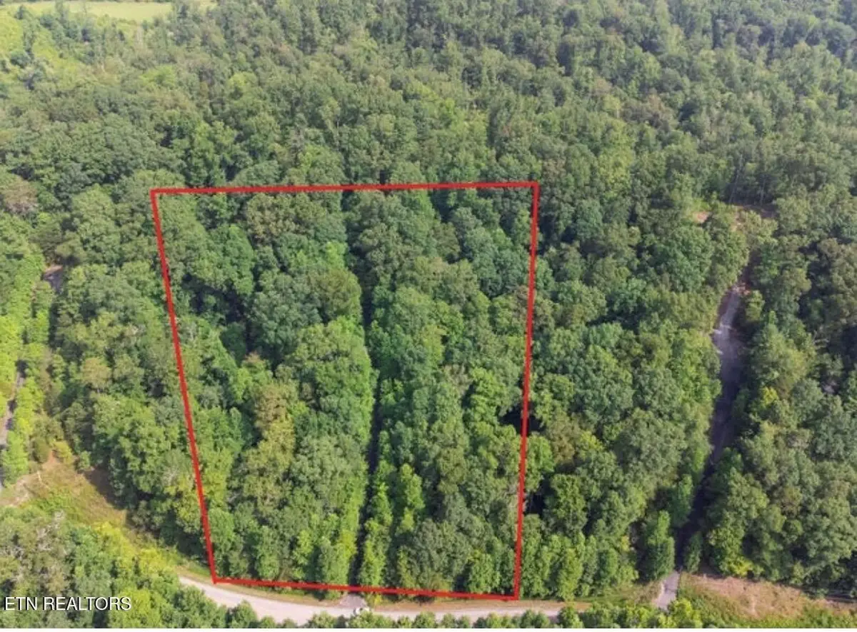 228 Crystal Springs Rd, Rockwood, TN 37854 - #1