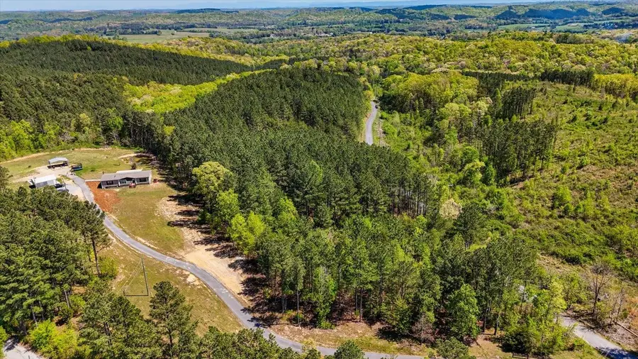 1 Rynes Road, Decatur, TN 37322 - #2