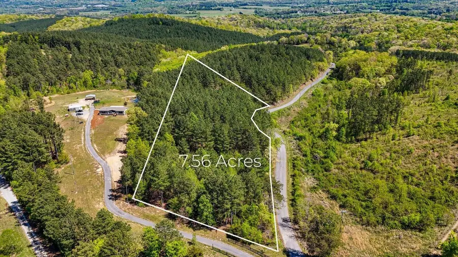 1 Rynes Road, Decatur, TN 37322 - #3