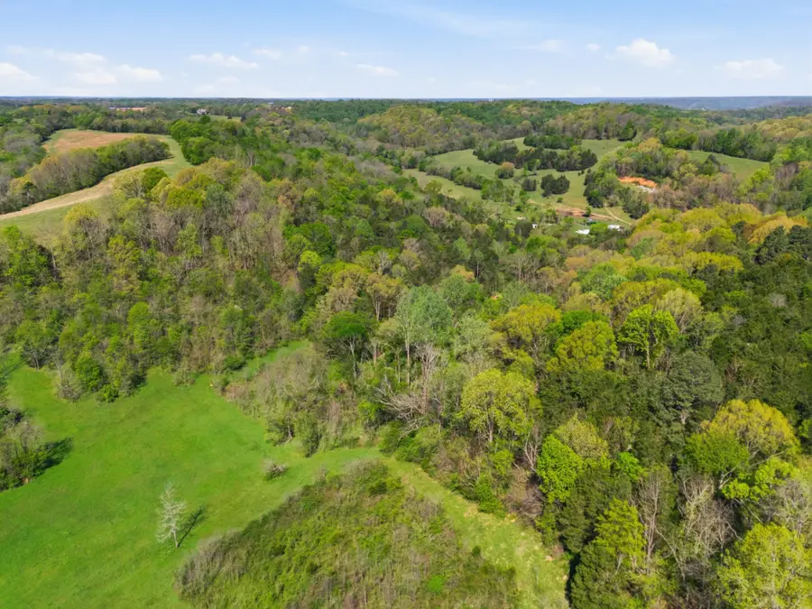 66 Thompson Hollow Rd, Taft, TN 38488 - #2