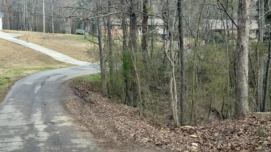 0 Adams Street, Spring City, TN 37381 - #2