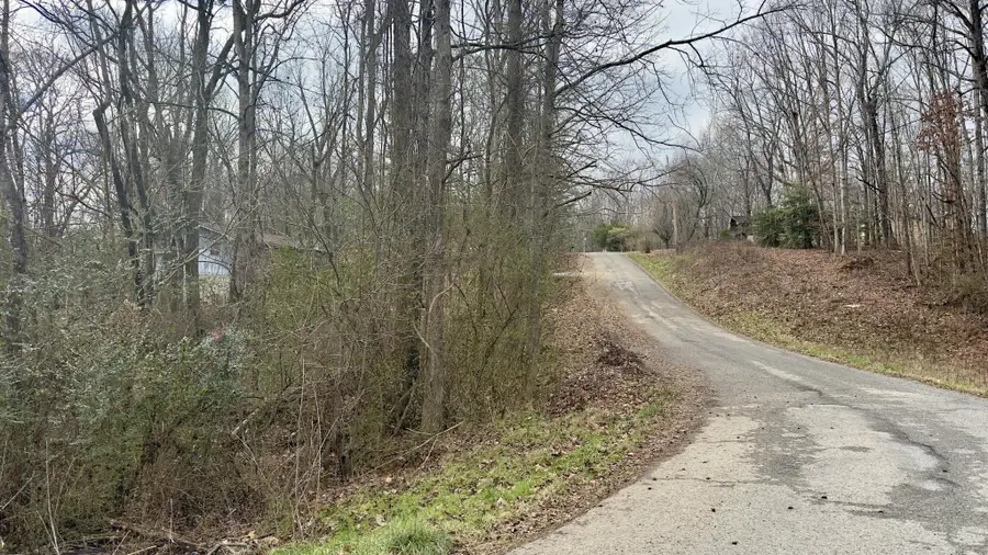 0 Adams Street, Spring City, TN 37381 - #3