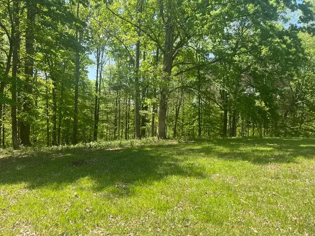 0 Ridgeview Run, Lynchburg, TN 37352 - #2