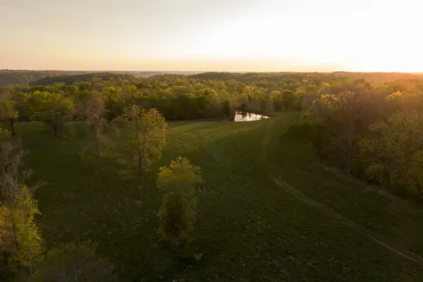 3345 Pigeon Roost Rd, Pulaski, TN 38478