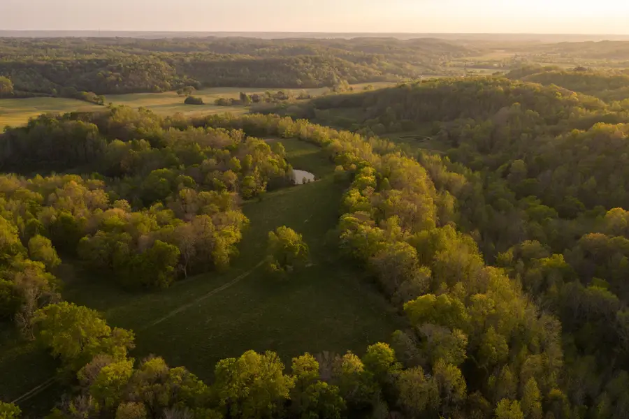 3345 Pigeon Roost Rd, Pulaski, TN 38478 - #3