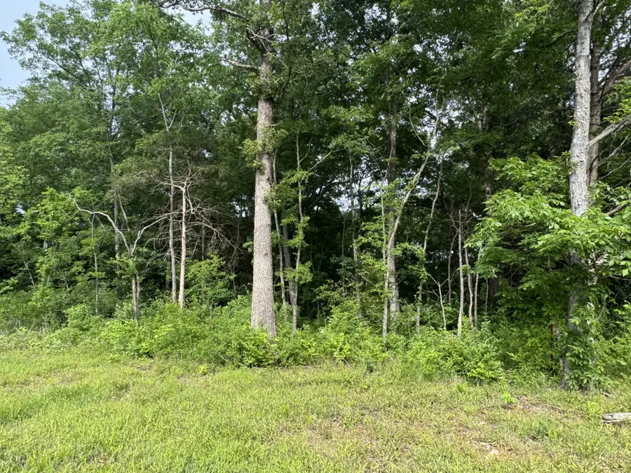 0 Old Nashville Dirt Rd, Shelbyville, TN 37160 - #2