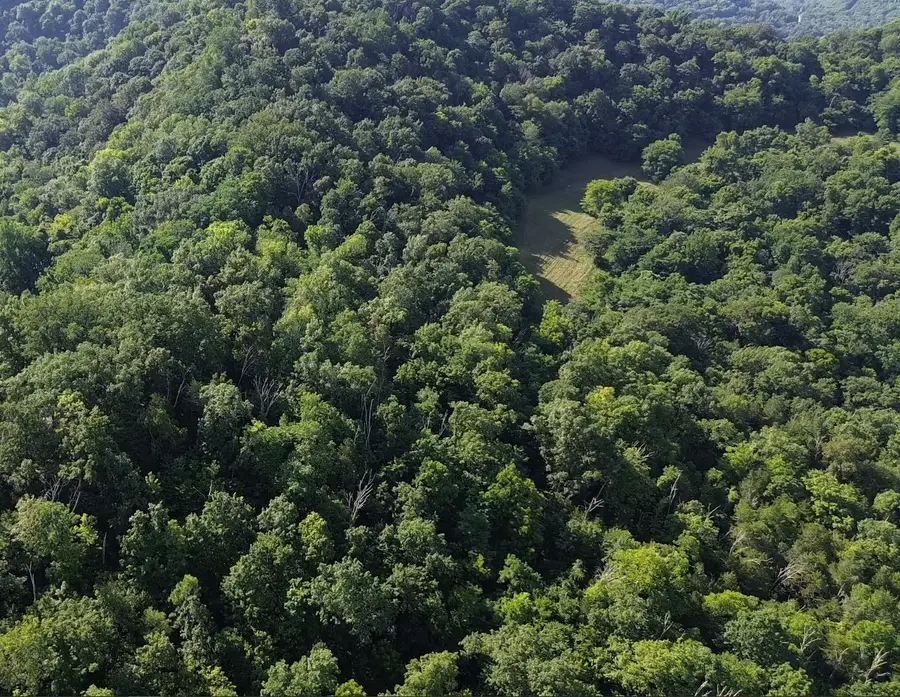 0 Hackett Hollow Ln, Pleasant Shade, TN 37145 - #3