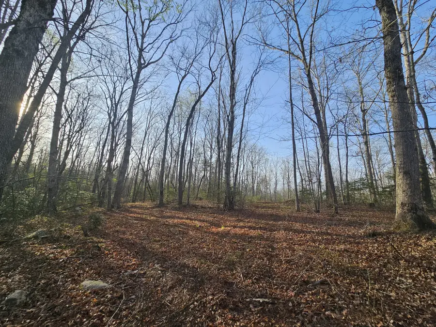 7 Fletcher Pickett Rd, Gruetli Laager, TN 37339 - #3