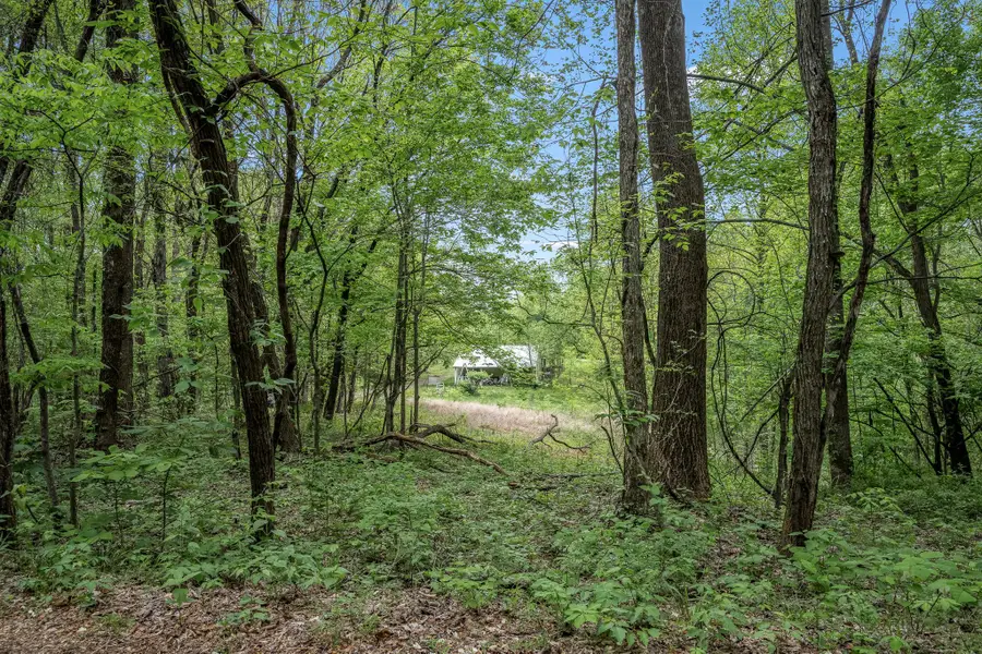 1975 Sugar Tree Knob Rd, Liberty, TN 37095 - #2