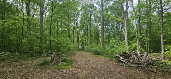 2225 Caney Branch Rd, Stewart, TN 37175