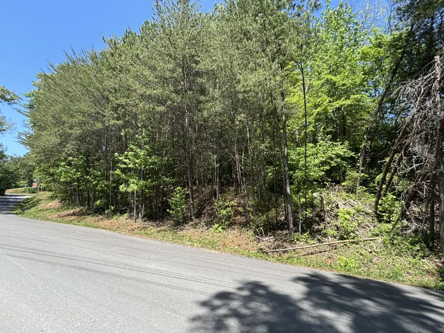 670 Lake View Drive, South Pittsburg, TN 37380 - #3