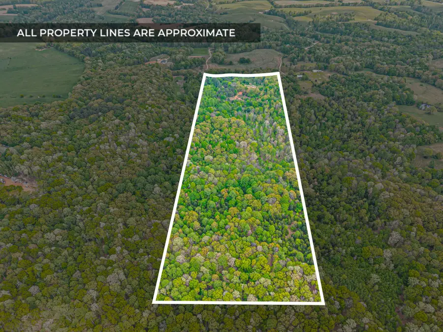 208 Tomsic Rd, Indian Mound, TN 37079 - #2