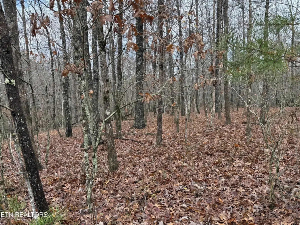 0 Icy Cove Tr, Monterey, TN 38574 - #1