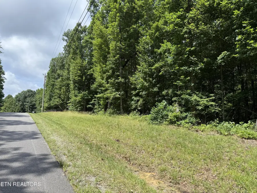 0 Icy Cove Tr, Monterey, TN 38574 - #2