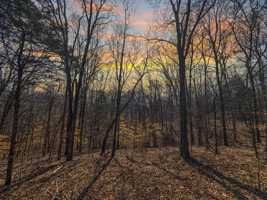 0 Butcher Ridge Rd, Cumberland Furnace, TN 37051 - #3