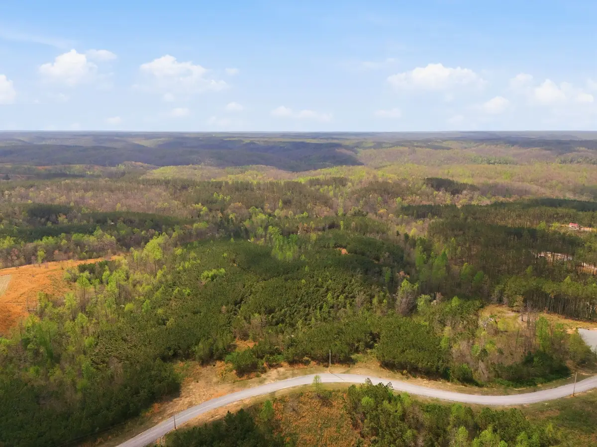 147 Starlight Dr, Linden, TN 37096 - #1