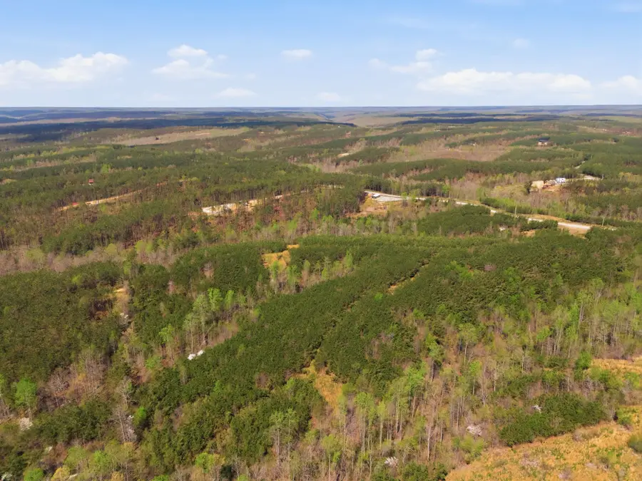 147 Starlight Dr, Linden, TN 37096 - #3