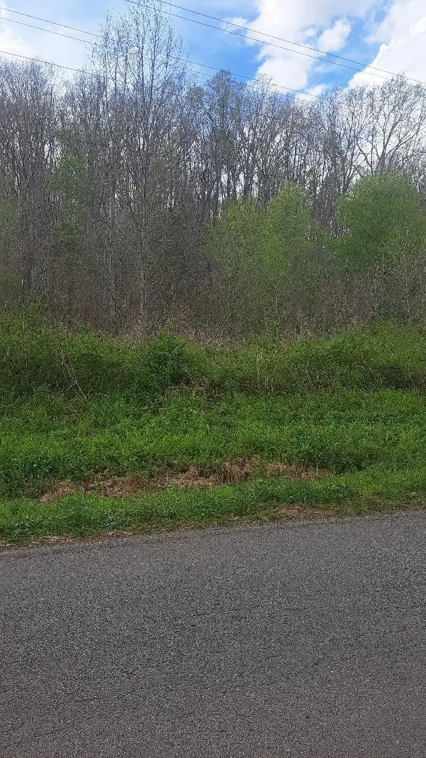 0 Napier Rd, Hohenwald, TN 38462 - #2