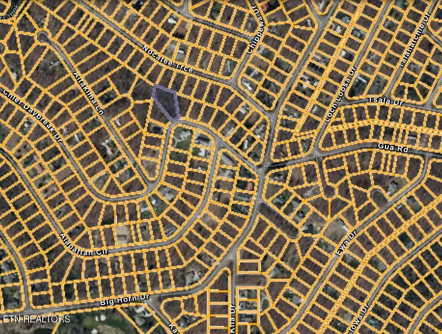 1016 Chief Day Break Drive, Crossville, TN 38572 - #2