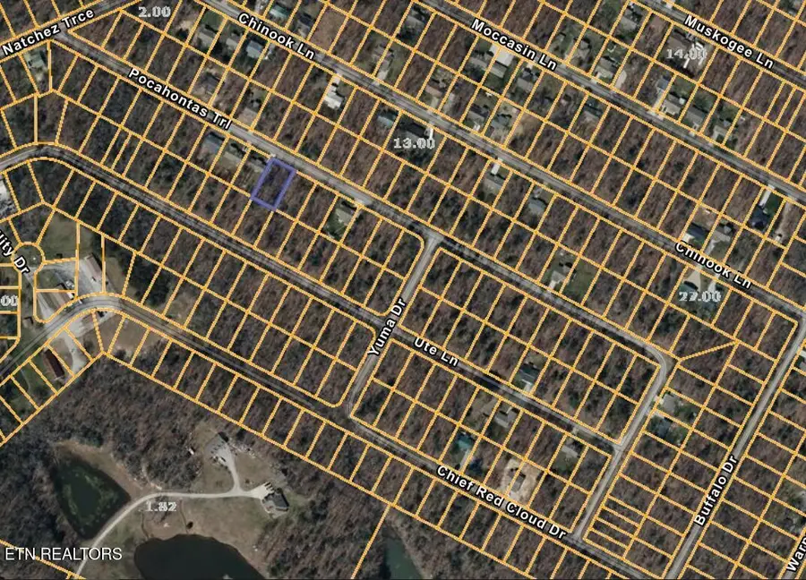 6020 Pocahontas Lane, Crossville, TN 38572 - #2