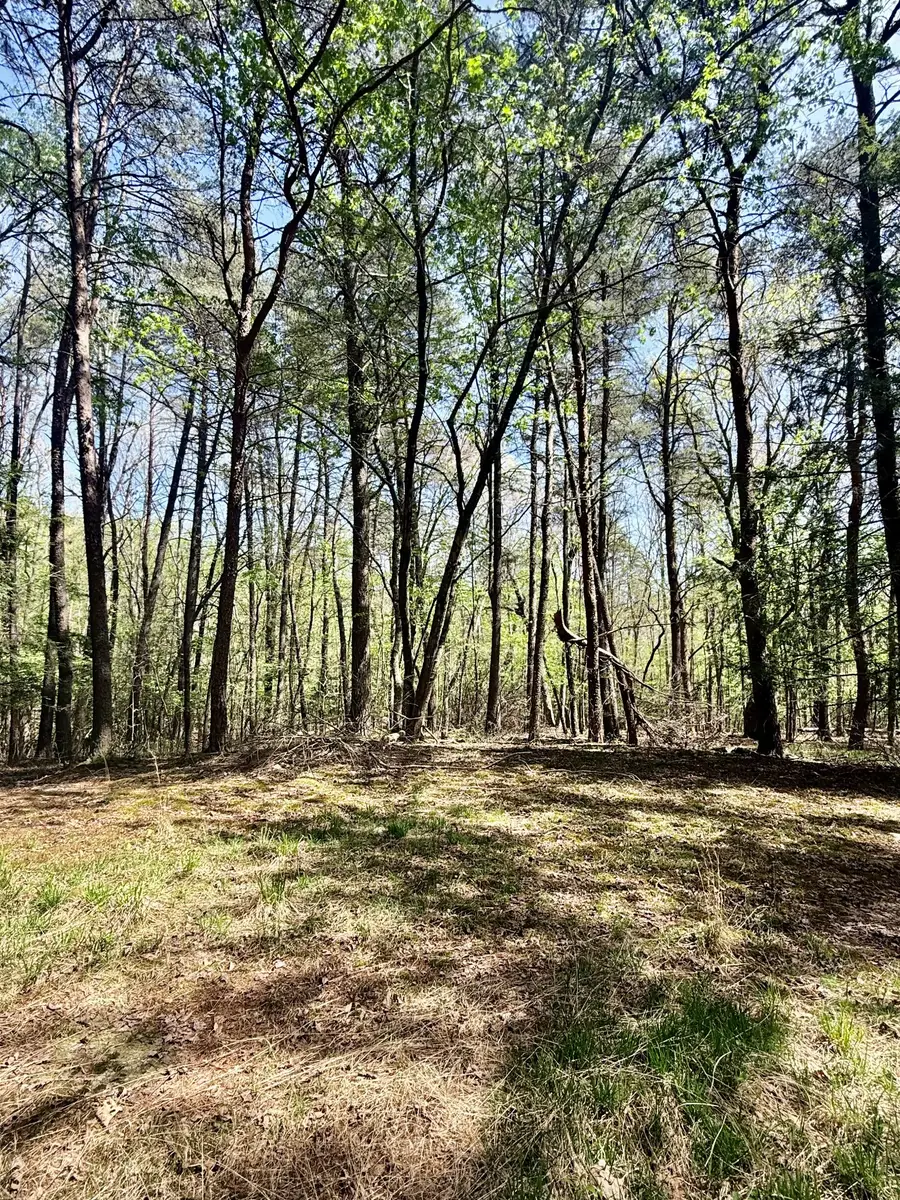 0 Timberwood Trace Lot 310, Monteagle, TN 37356 - #2