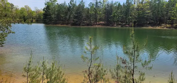 100 Bluff View Drive, Dunlap, TN 37327