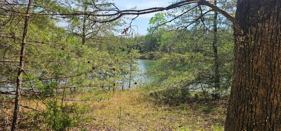 100 Bluff View Drive, Dunlap, TN 37327 - #2