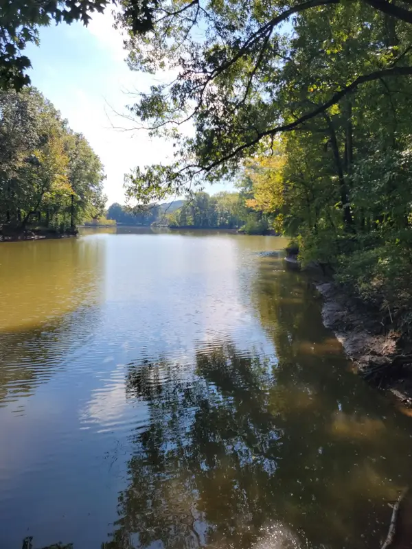 0 Shirley Bates Road, Clifton, TN 38425