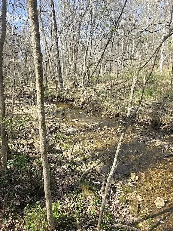 11274 Allen Drive, Lyles, TN 37098 - #3