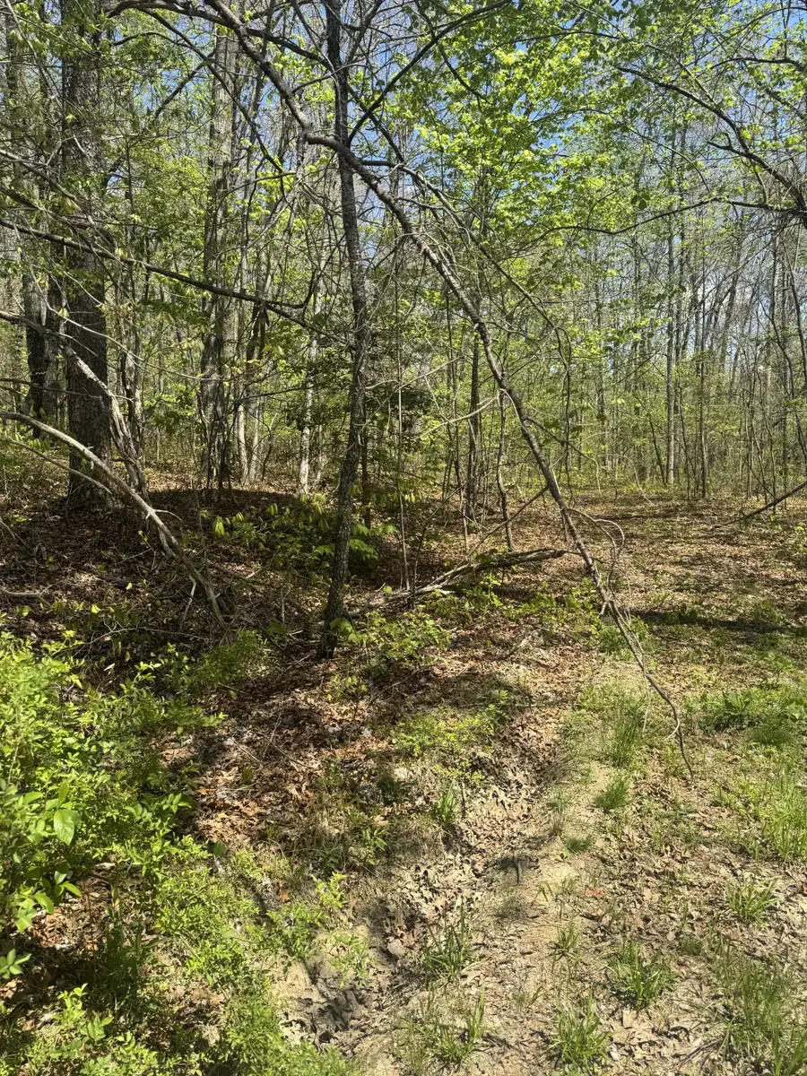 0 Doe Creek Lake Dr, Sparta, TN 38583 - #2